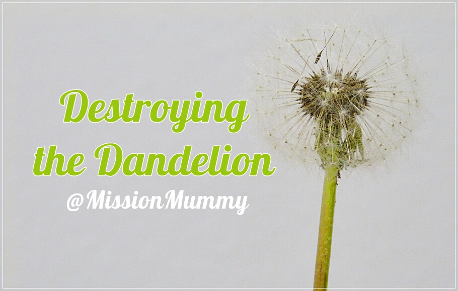Destroying the Dandelion
